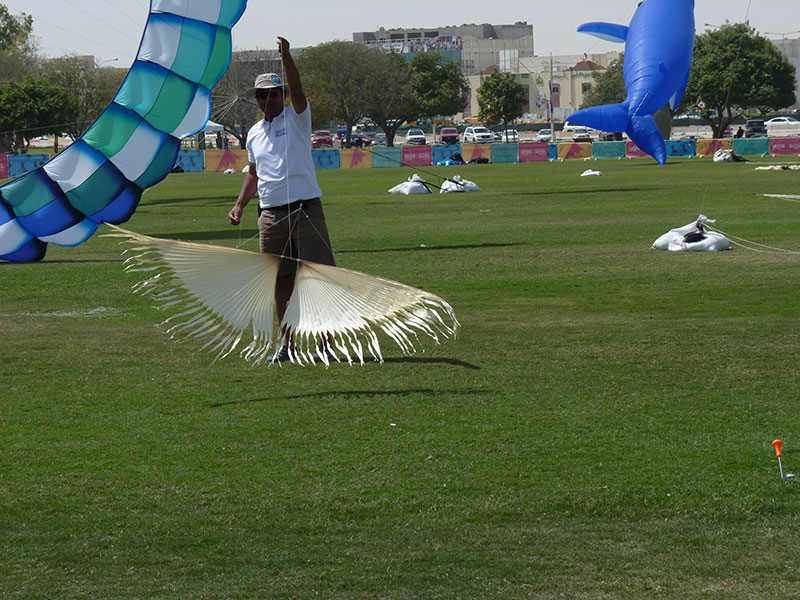 Drakfestival i Aspire Park
