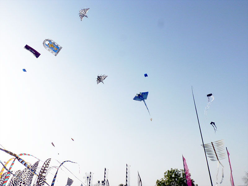 Drakfestival i Aspire Park