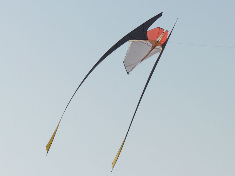 Doha