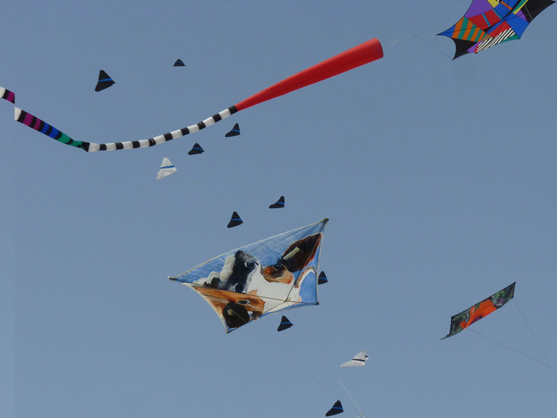 Drakfestival i Aspire Park
