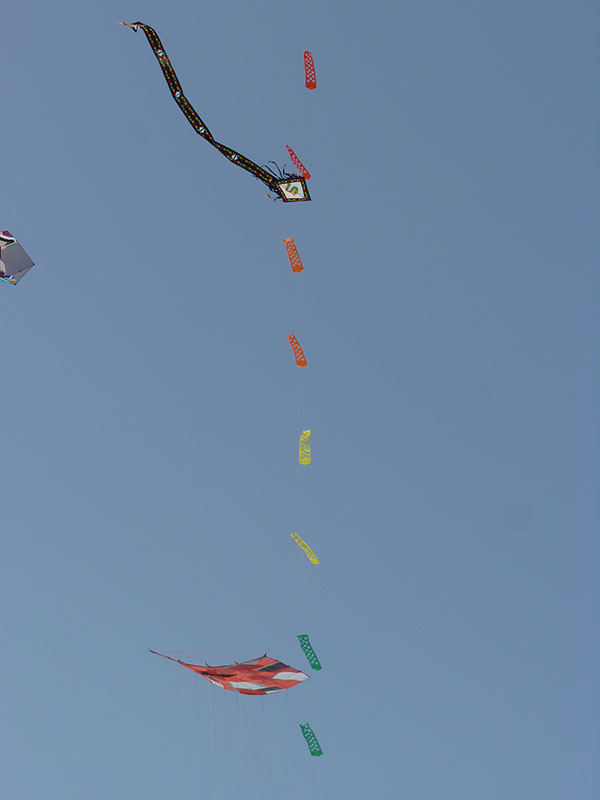 Drakfestival i Aspire Park