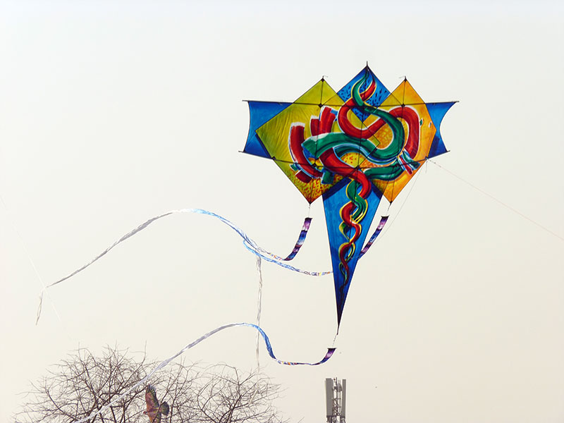 Drakfestival i Aspire Park