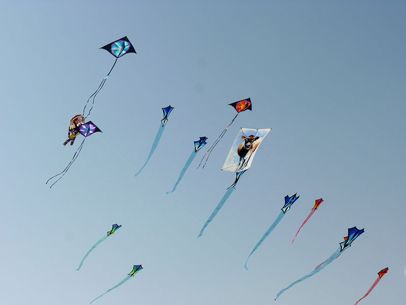 Drakfestival i Aspire Park