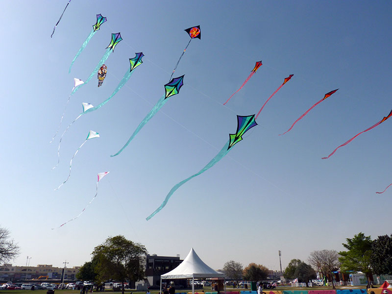 Drakfestival i Aspire Park