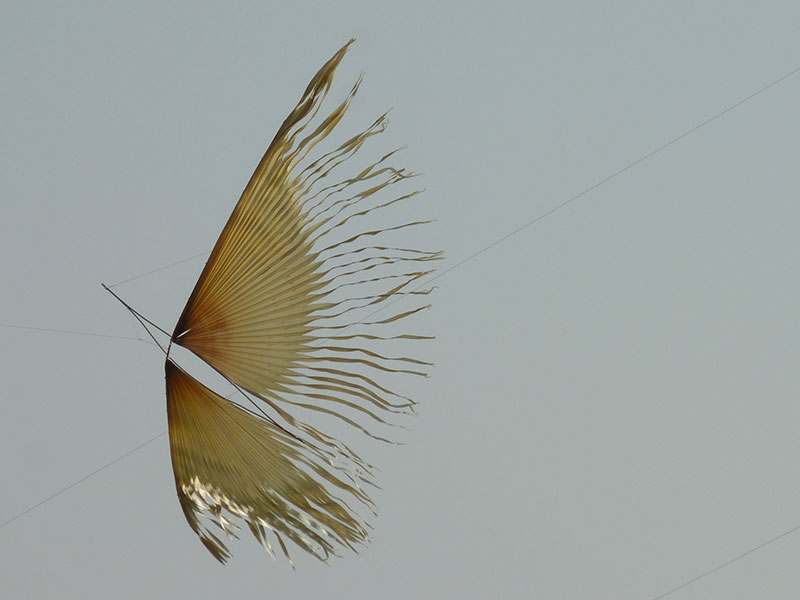 Drakfestival i Aspire Park