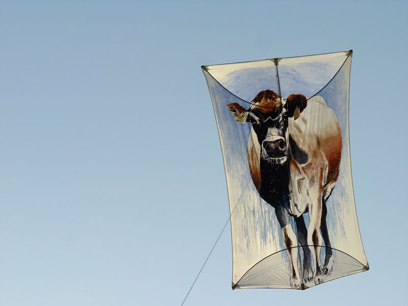 Drakfestival i Aspire Park