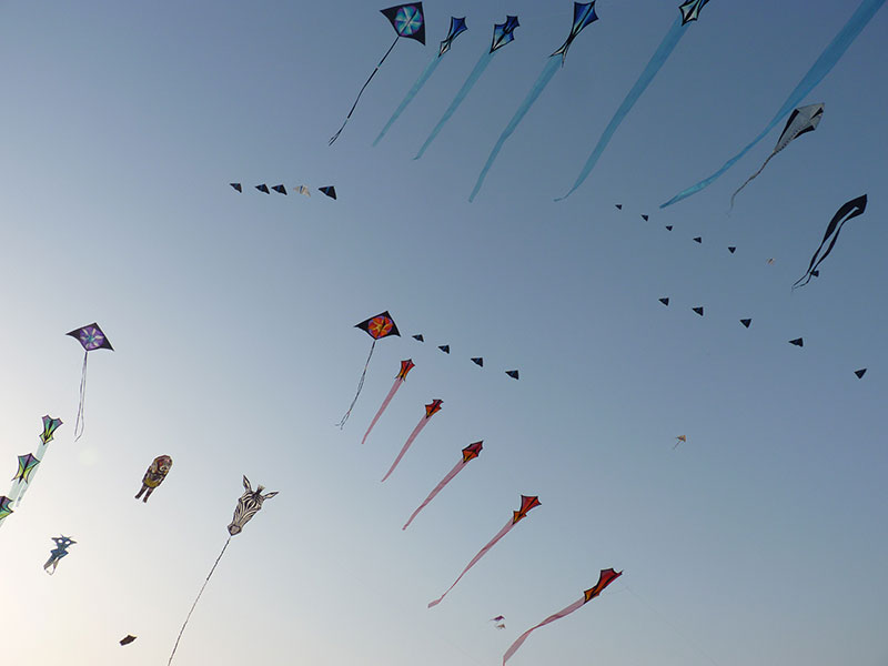 Drakfestival i Aspire Park