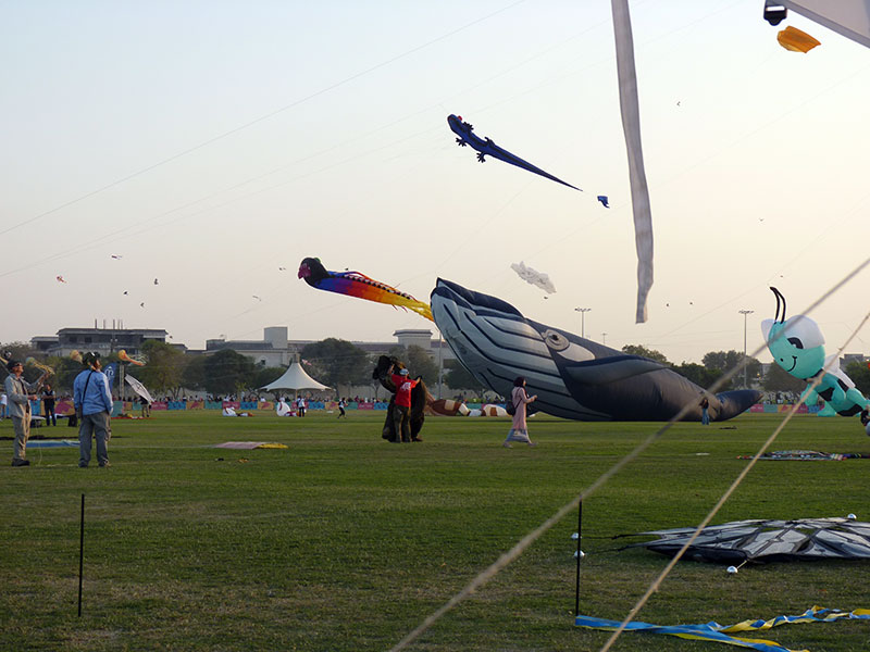 Drakfestival i Aspire Park