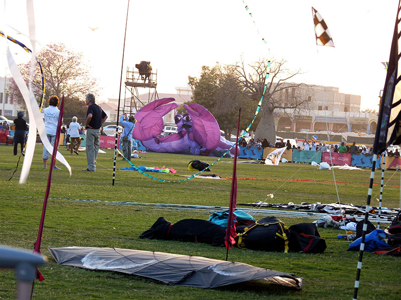 Drakfestival i Aspire Park