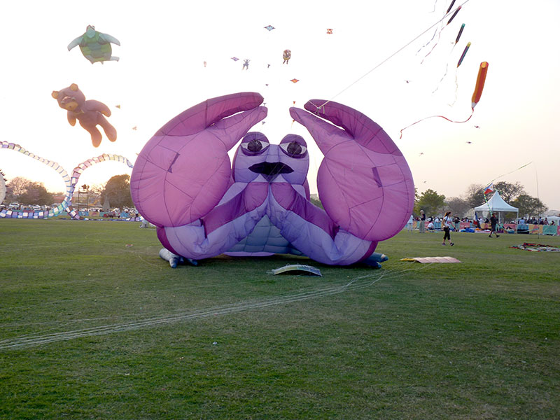 Drakfestival i Aspire Park