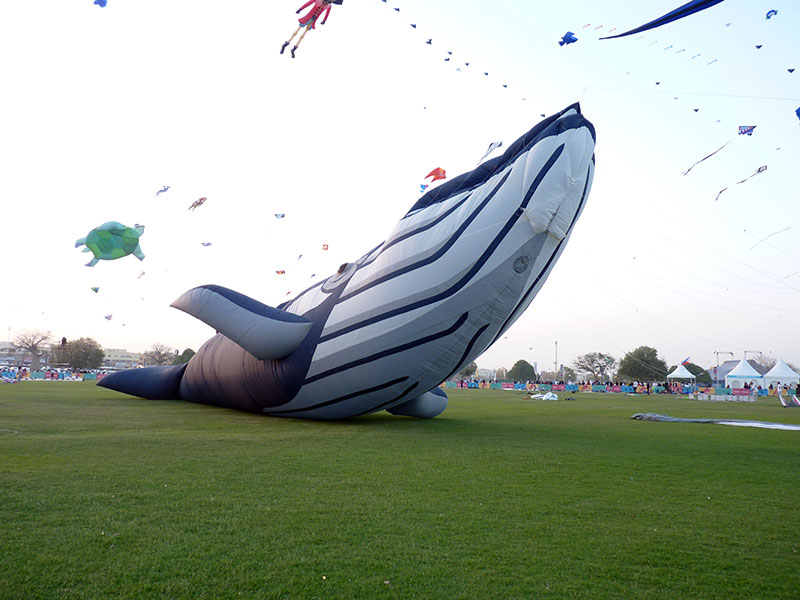 Drakfestival i Aspire Park